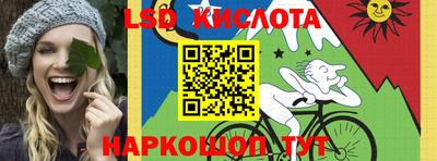 гашик Тулун