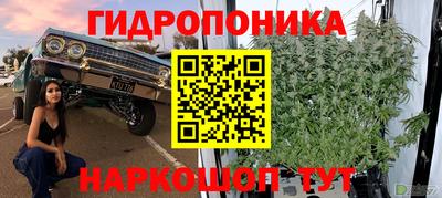 гашик Тула