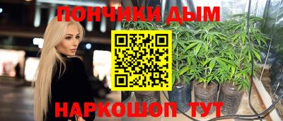 гашик Тулун
