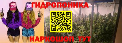 гашик Тула