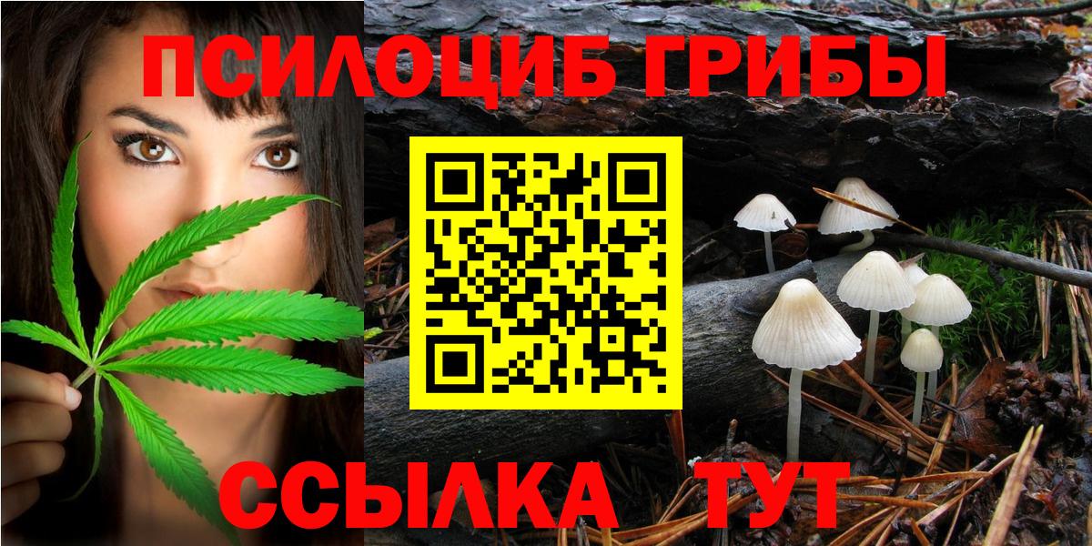 Набережные Челны  Псилоцибиновые грибы мухоморы  Вход с VPN  Галлюциногенные грибы мухоморы 